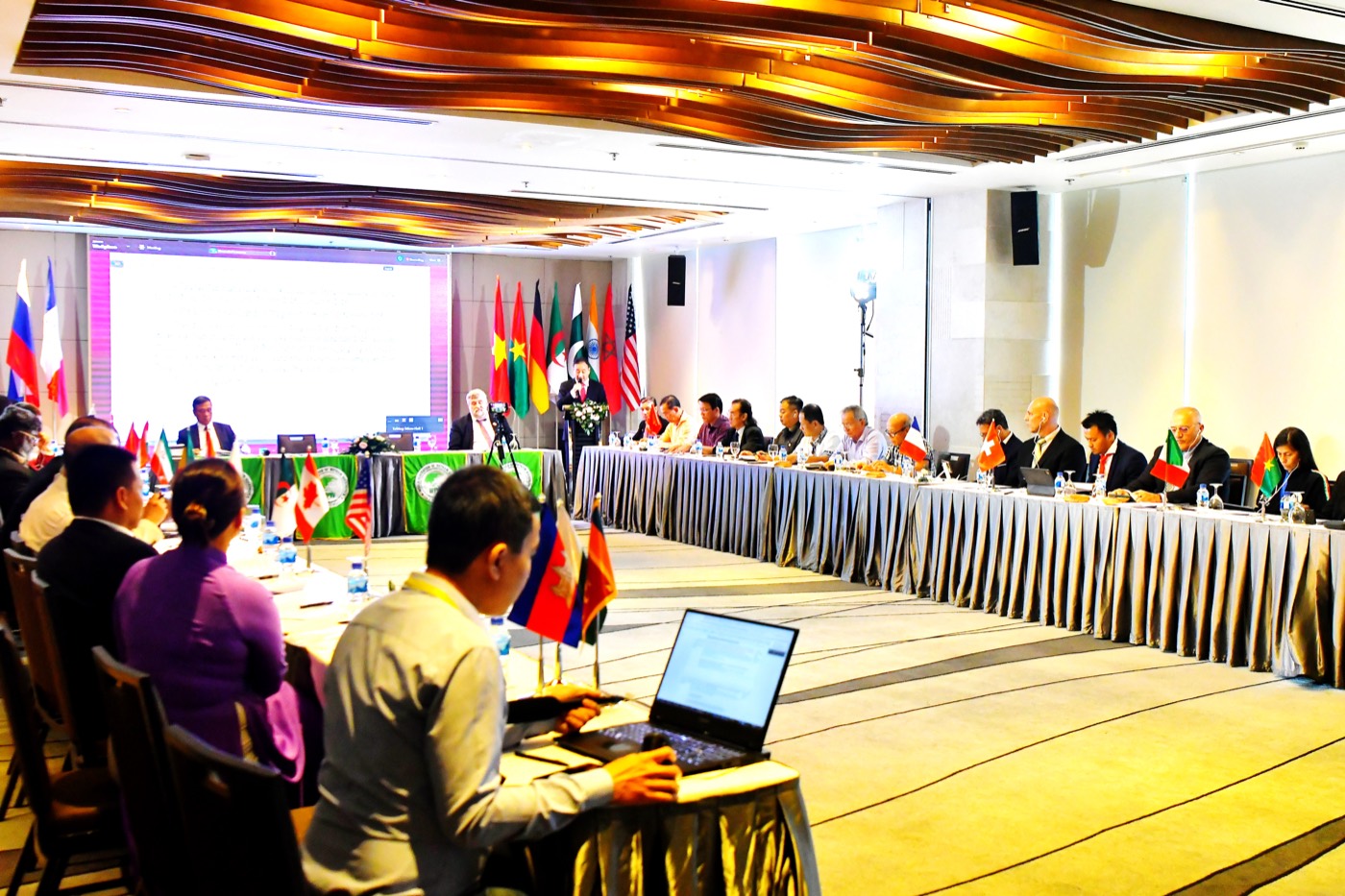 Delegations and flags